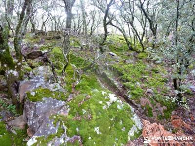 Pico Rocigalgo;Cascada Chorro,Cabañeros; sierra de gredos agencia de viajes rascafria camino del re